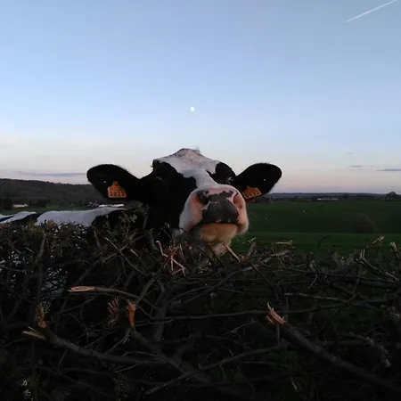 Restaurant The Kings Head Voeren