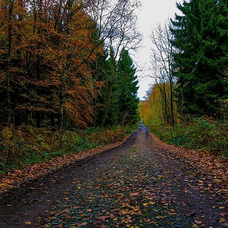 Restaurant The Kings Head Hotel 2*